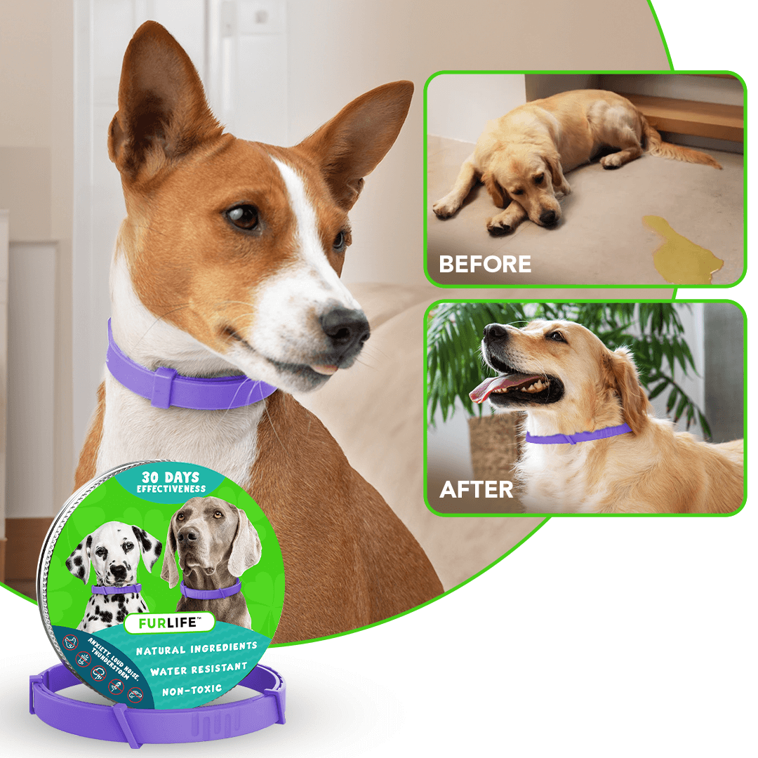 FurLife™ - Natural Pheromone Calming Collar for Dogs